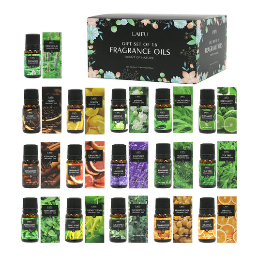 Aromatherapy Essential Oils Kit 16 favors Lavender, Mint, Lemon,  Jasmine, tea tree All Perfect for Humidifiers Yoga bedroom