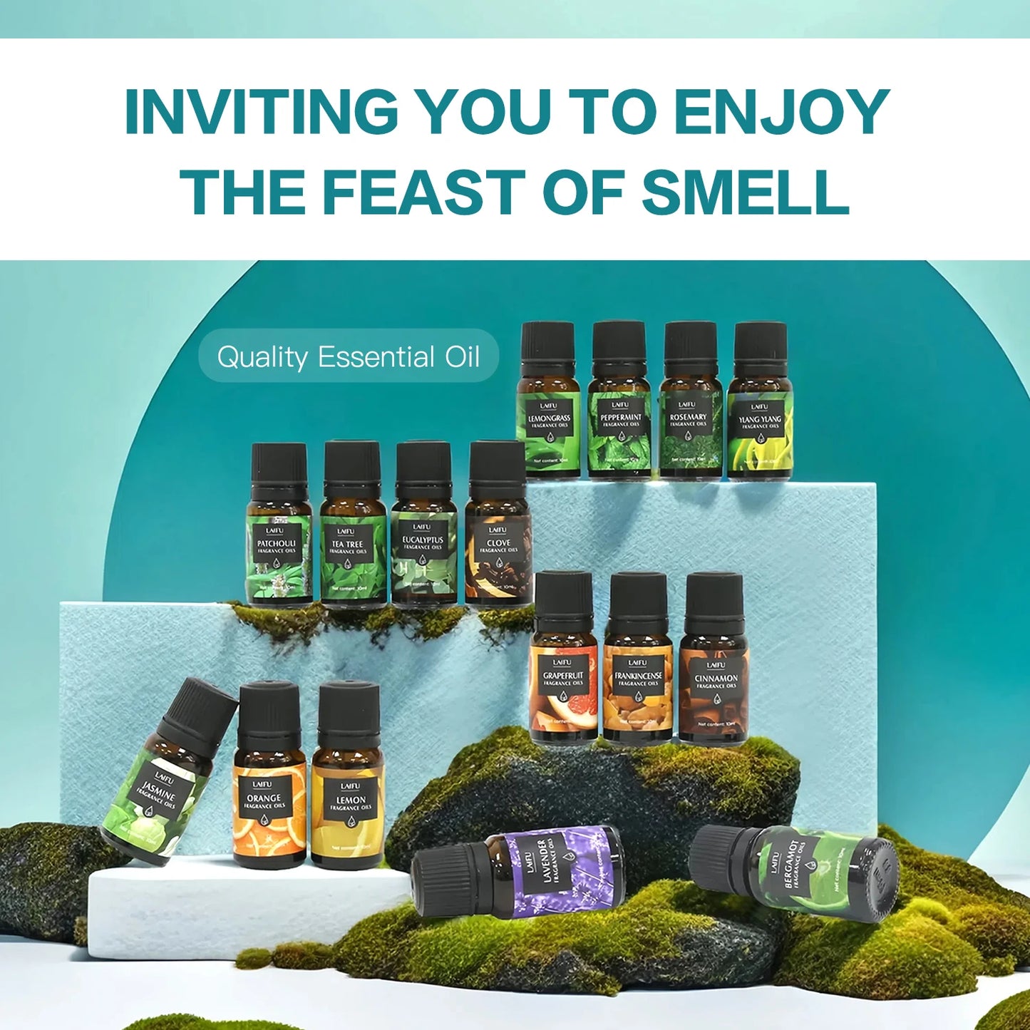 Aromatherapy Essential Oils Kit 16 favors Lavender, Mint, Lemon,  Jasmine, tea tree All Perfect for Humidifiers Yoga bedroom